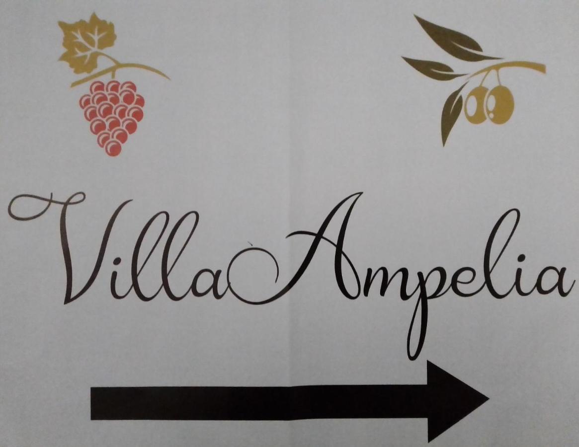 Villa Ampelia Sitia  Ngoại thất bức ảnh